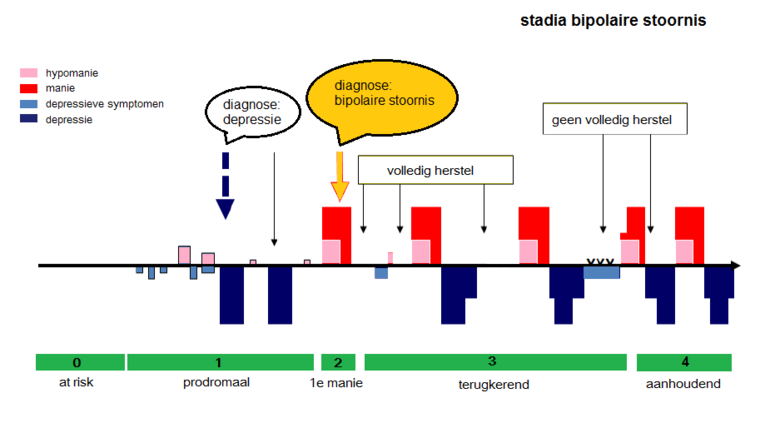Gevolgen bipolaire stoornis